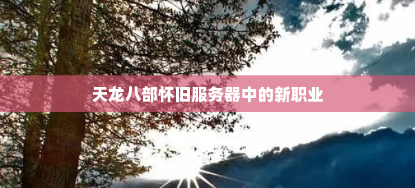 天龙八部怀旧服务器中的新职业 第3张