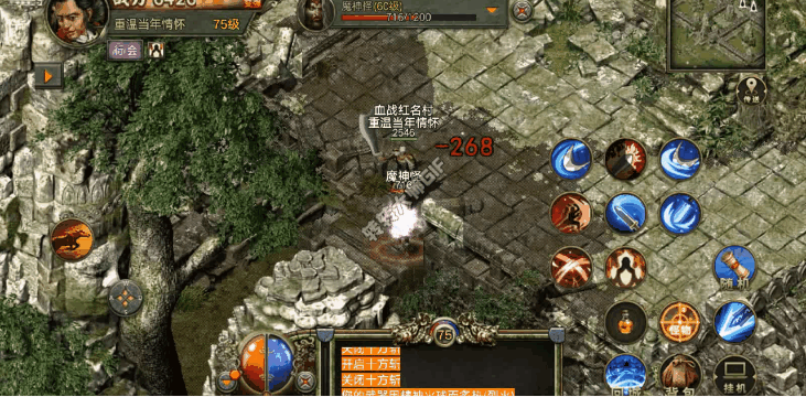 烈火传奇私服技巧攻略(热门烈火传奇私服技巧大揭秘)