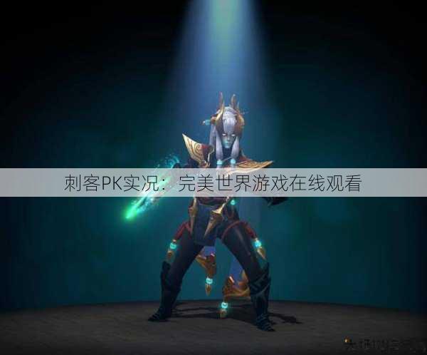 刺客PK实况:完美世界游戏在线观看