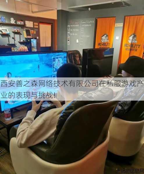 西安善之森网络技术有限公司在私服游戏产业的表现与挑战! 第2张 西安善之森网络技术有限公司在私服游戏产业的表现与挑战! 第2张