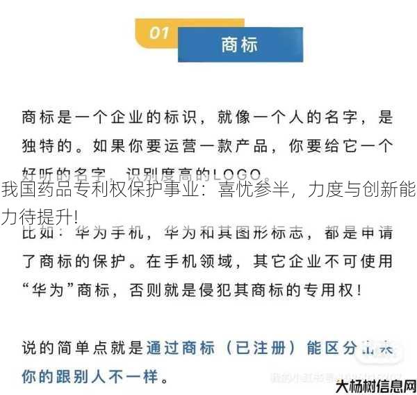 我国药品专利权保护事业:喜忧参半,力度与创新能力待提升! 第2张 我国药品专利权保护事业:喜忧参半,力度与创新能力待提升! 第2张
