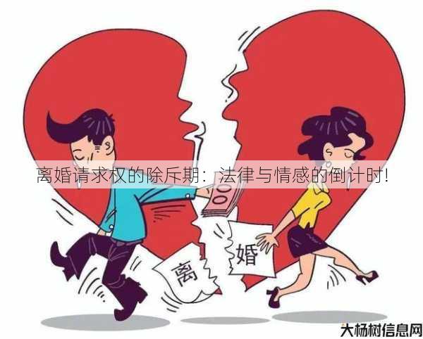 离婚请求权的除斥期：法律与情感的倒计时!