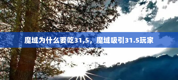 魔域为什么要吃31,5，魔域吸引31.5玩家 第1张