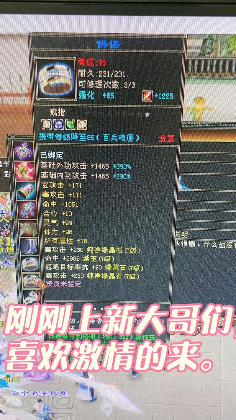 天龙私服玩法大揭秘！等级上限提升，带你畅游不一样的天龙世界？ 第4张