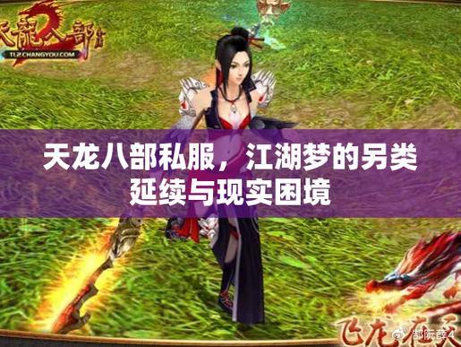 天龙八部公益私服是什么？特点与帮助解析（公平畅玩） 第4张