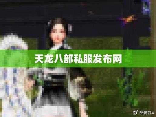 【天龙八部私服发布网】玩家必备攻略，最新资源&交流平台 第1张