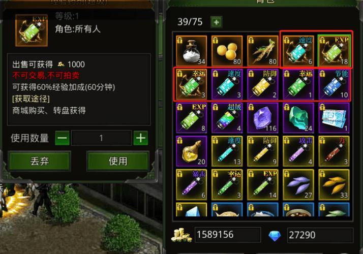 玩家亲测！奇迹私服新手入门攻略与副本挑战技巧分享 第2张