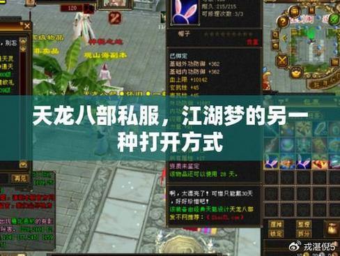 天龙八部私服发布网心得分享：稳定、人气与规则的挑选攻略 第1张