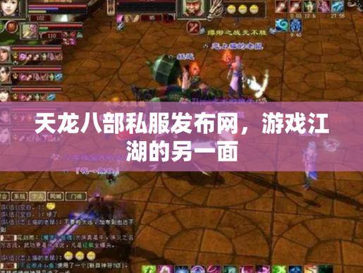 天龙私服玩家分享经验，畅谈江湖世界的魅力与挑战