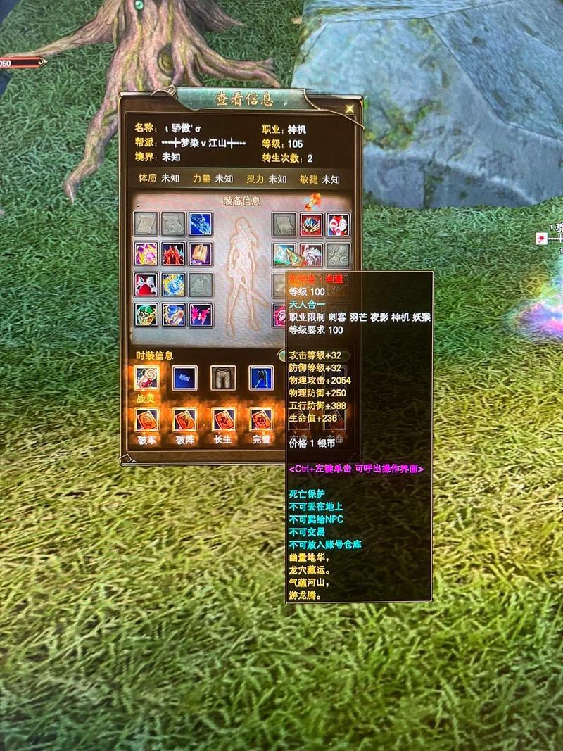 完美国际私服注册指南与角色创建攻略，新手必看 第2张