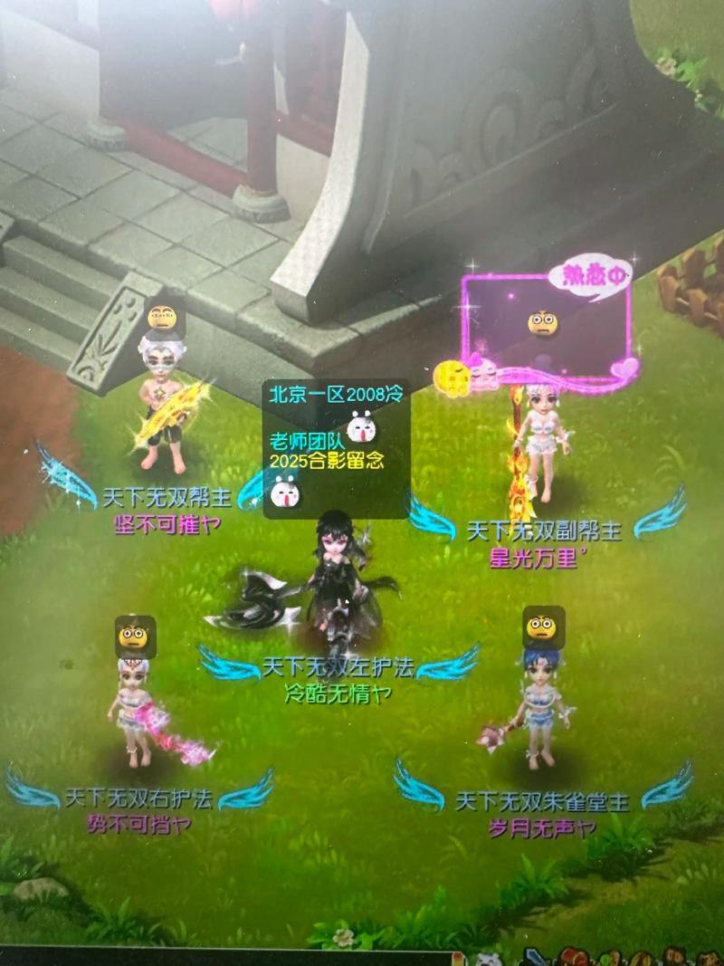 梦幻西游私服新手必看：选角色技巧与团队攻略