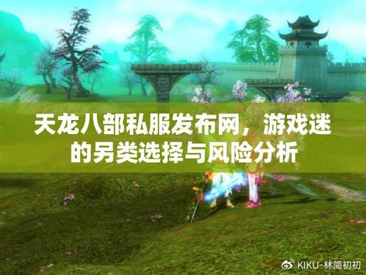 天龙八部私服发布网哪个好?安全问题怎么看?这些建议请收好 第1张 天龙八部私服发布网哪个好?安全问题怎么看?这些建议请收好 第1张