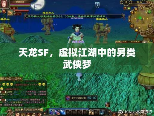 叨叨天龙私服是啥？个人模仿官方搭建，无正版授权要注意 第2张