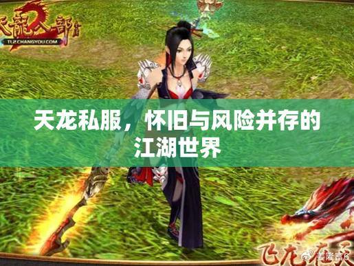 天龙八部公益私服：版本多样、玩法丰富，快来体验