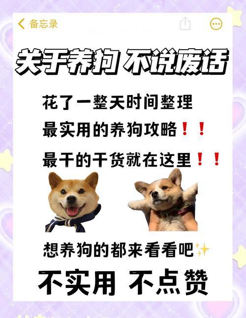 想在奇迹私服少走弯路?这些实用干货你得知道 第3张 想在奇迹私服少走弯路?这些实用干货你得知道 第3张