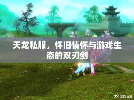 天龙八部公益私服评测:稳定环境、丰富玩法与健康社区 第4张 天龙八部公益私服评测:稳定环境、丰富玩法与健康社区 第4张