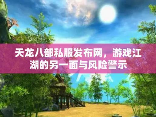 天龙八部私服风险解析：版权侵犯与隐私安全，玩家必读指南 第2张