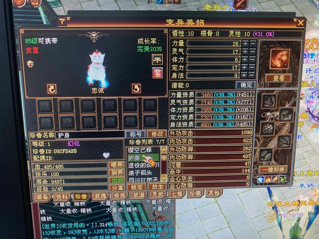 天龙八部私服攻略：玩法奔放任性，等级飙升+宠物系统创新 第2张