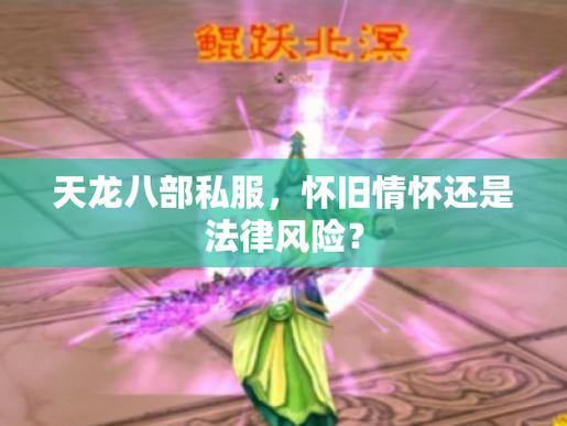 天龙八部私服是什么？违法风险与玩家吸引力深度解析 第2张