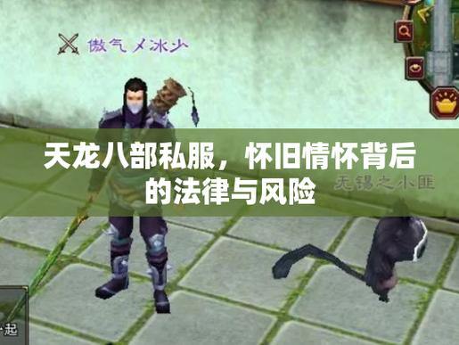 天龙八部私服发布网，老玩家爱恨交织的背后真相 第3张