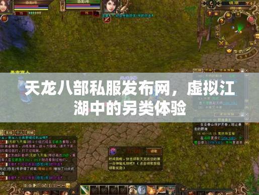 天龙八部私服发布网怎么玩？人气大的网站有啥不一样？速看 第2张