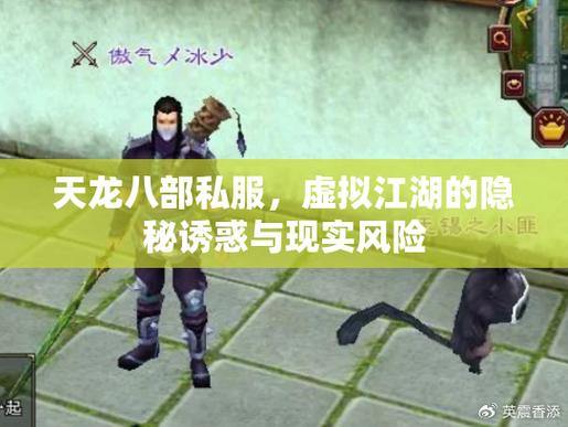 天龙八部私服揭秘：风险、诱惑与正版对比