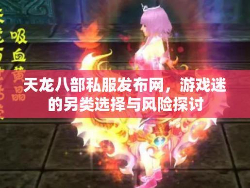 天龙八部私服详解：类型、区别与风险，玩家必看 第3张