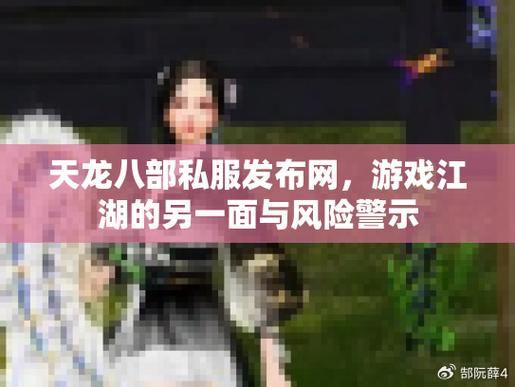 天龙八部私服风险揭秘：作弊性质、非法运营与玩家隐患解析 第2张