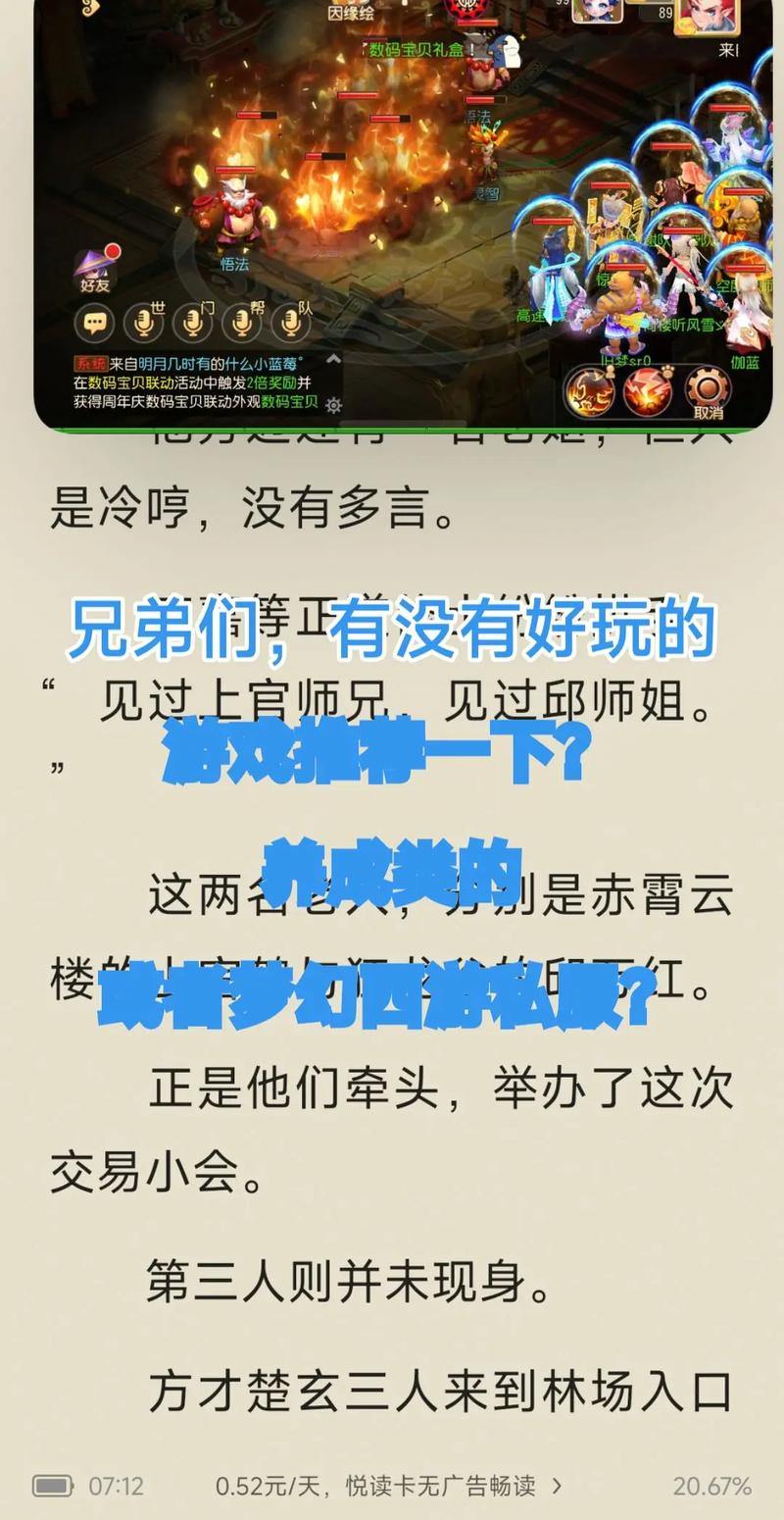 玩梦幻私服易遇问题？一文详解其与正版差异及风险 第1张