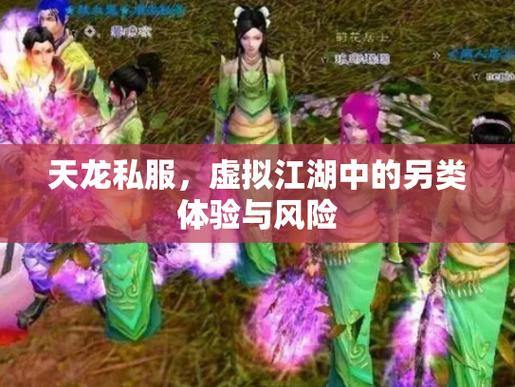 天龙八部私服是什么？版本自定义、风险与体验解析 第1张