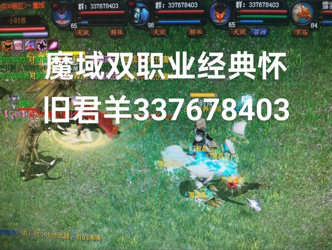 爱玩游戏看过来！聊聊私服魔域那些事儿，你了解多少？ 第4张