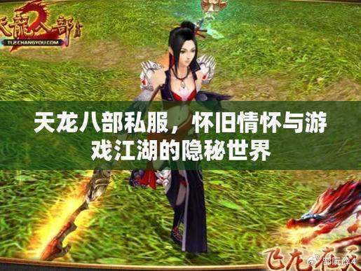 天龙私服评测:武侠世界、多人在线,畅享奇幻江湖之旅 第1张 天龙私服评测:武侠世界、多人在线,畅享奇幻江湖之旅 第1张