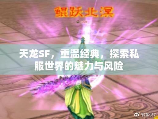 探索天龙私服：华丽江湖、自由门派选择与激情战斗