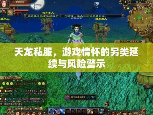 玩家必看！天龙私服稳定与否受多因素限制，运行常波动？ 第3张